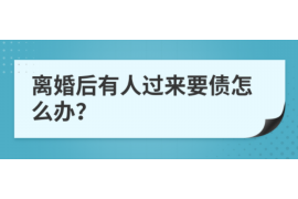 当涂为什么选择专业追讨公司来处理您的债务纠纷？